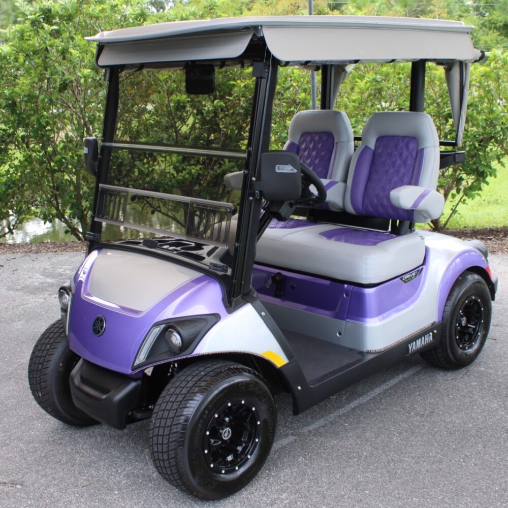 2025 Yamaha Drive2