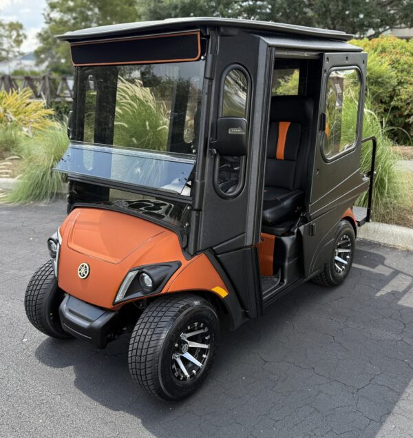 2020 Yamaha Drive2