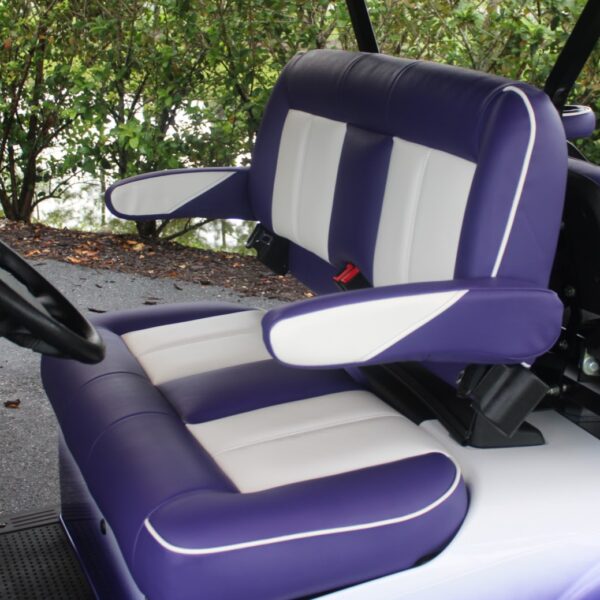 2022 E-Z-GO Freedom RXV ELiTE - Image 2