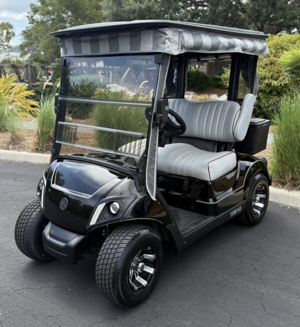 2018 Yamaha Drive2
