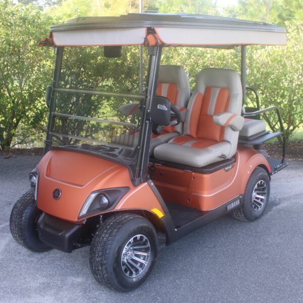 2022 Yamaha Drive2