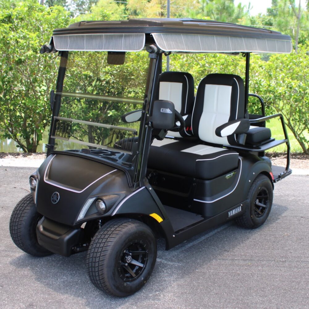 2025 Yamaha Drive2