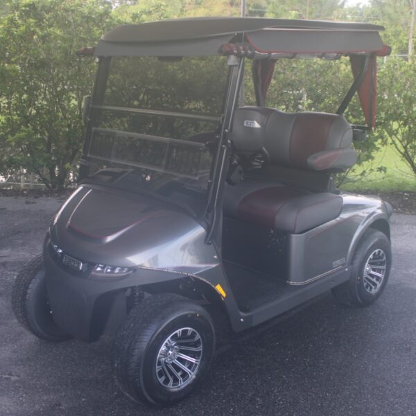 2025 E-Z-GO Freedom RXV ELiTE