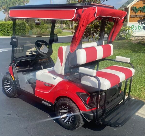 2025 Yamaha Drive2 - Image 2