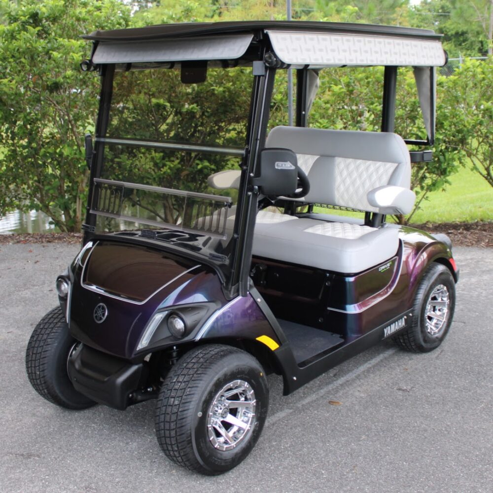 2025 Yamaha Drive2