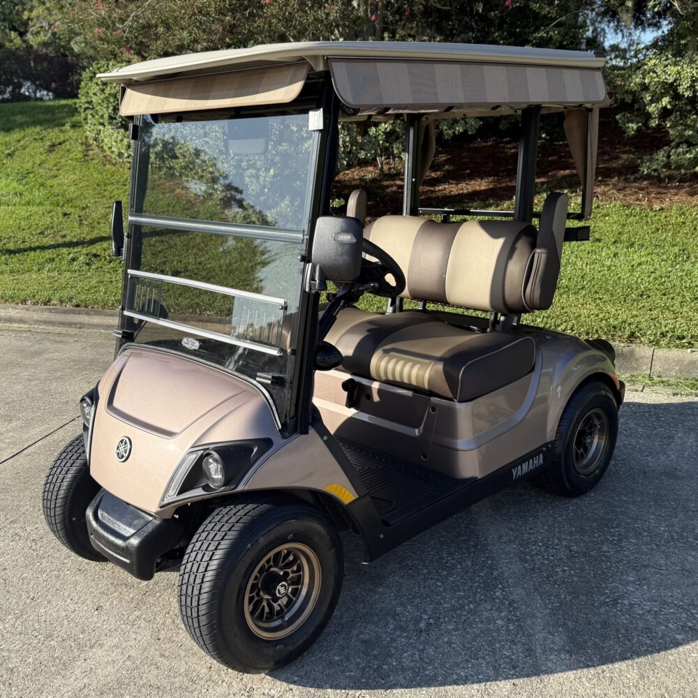 2021 Yamaha Drive2