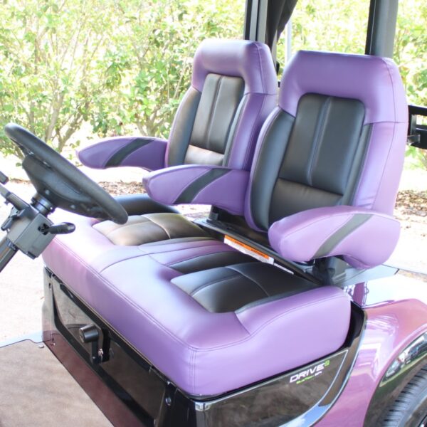 2024 Yamaha Drive2 - Image 2