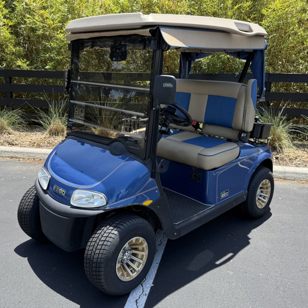 2019 E-Z-GO Freedom RXV ELiTE