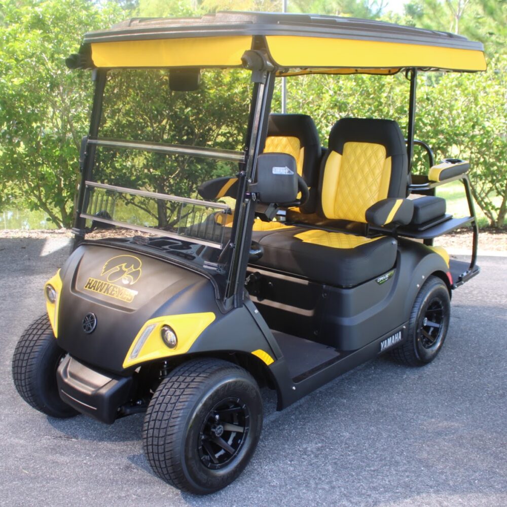 2025 Yamaha Drive2