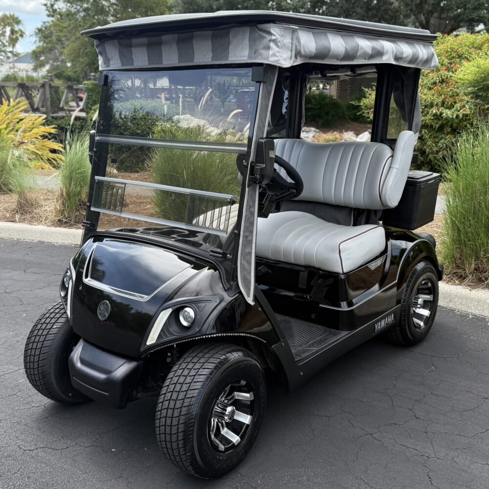 2018 Yamaha Drive2
