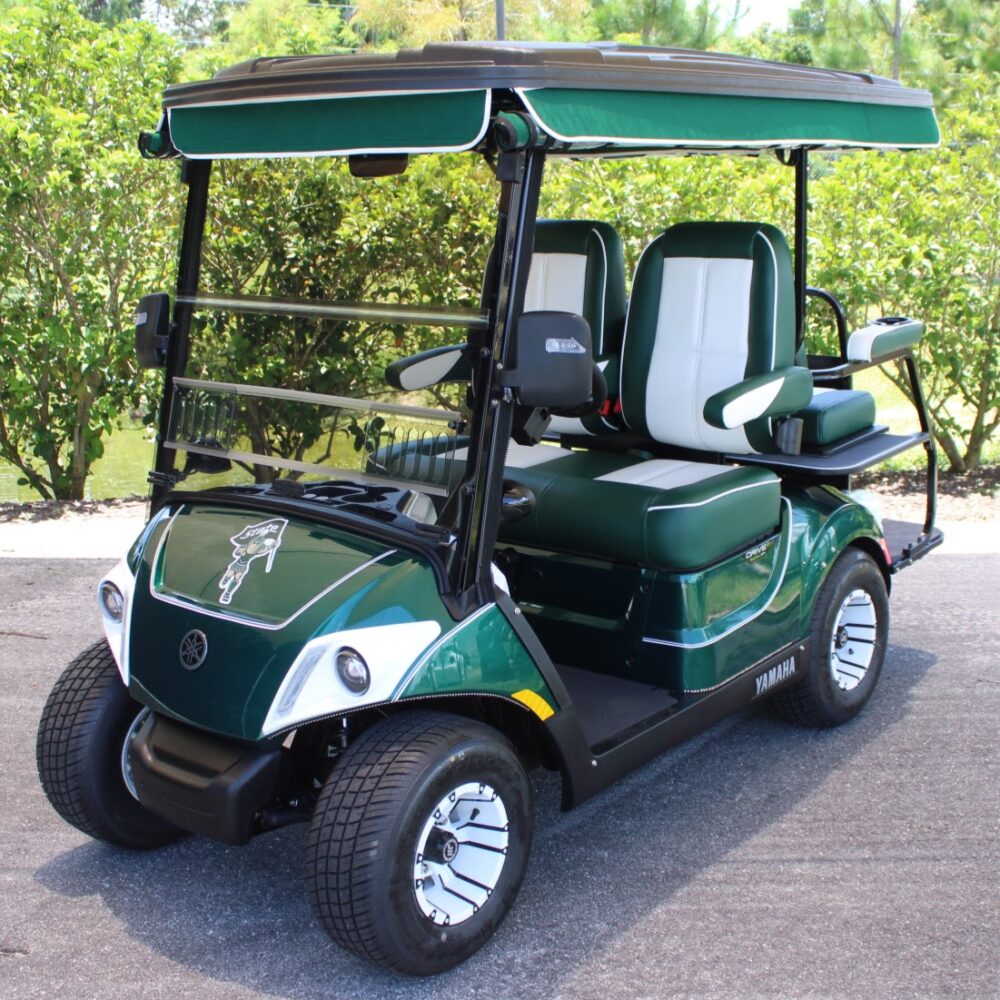2025 Yamaha Drive2