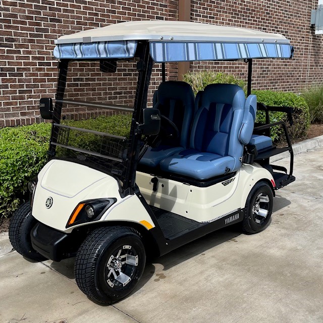 2018 Yamaha Drive2