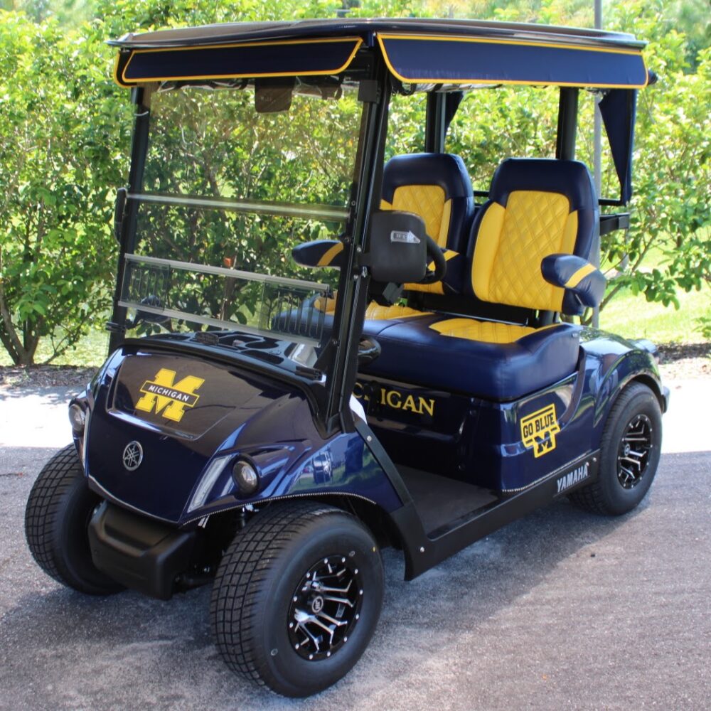 2025 Yamaha Drive2