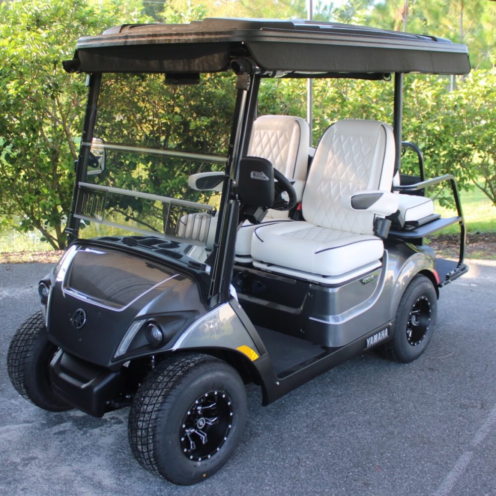 2025 Yamaha Drive2