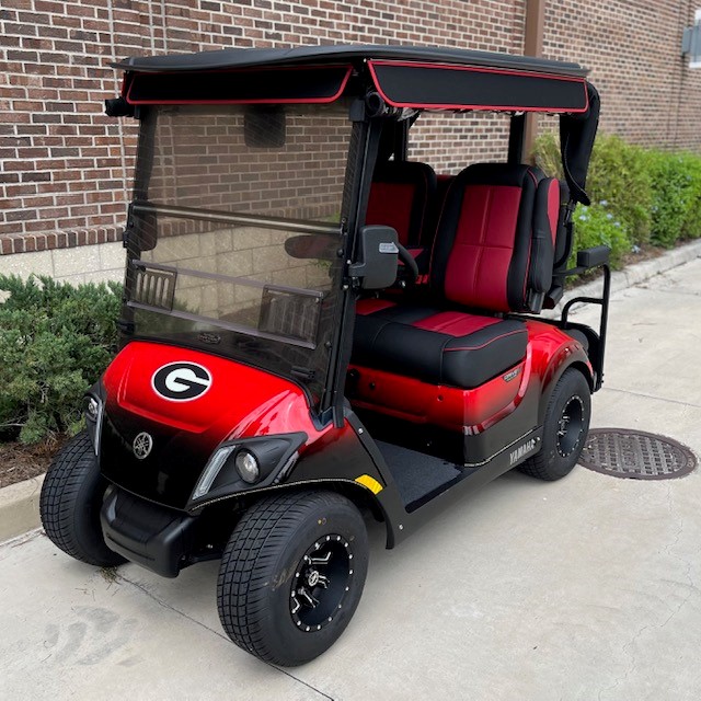2025 Yamaha Drive2