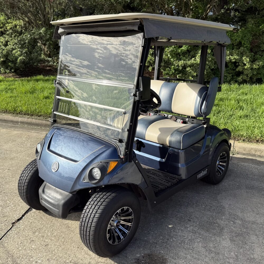 2019 Yamaha Drive2