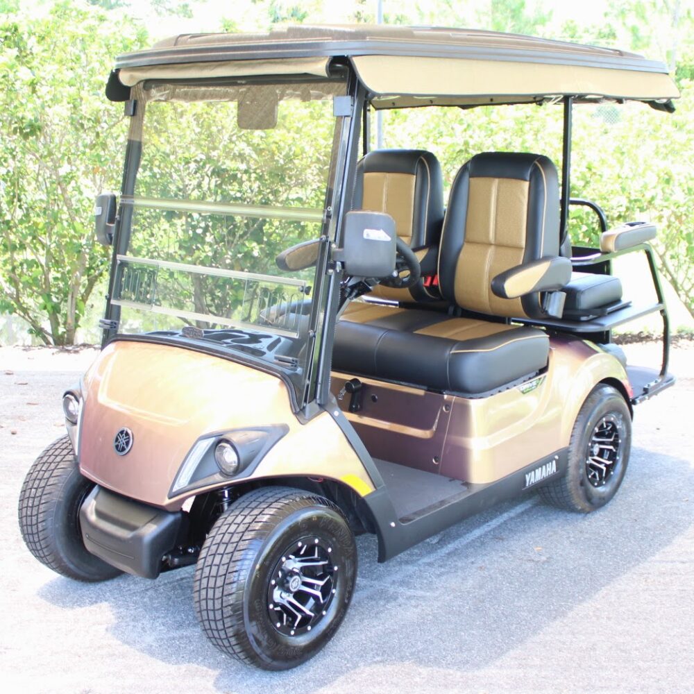 2025 Yamaha Drive2