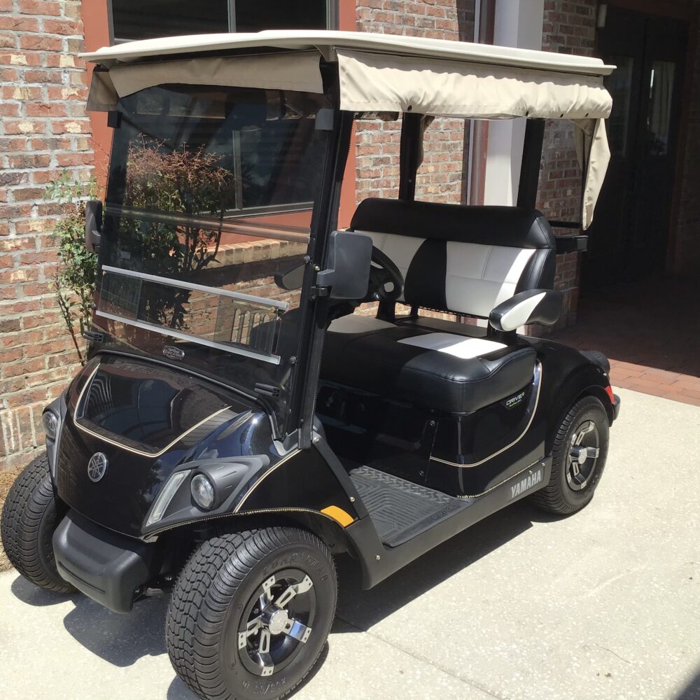 2022 Yamaha Drive2