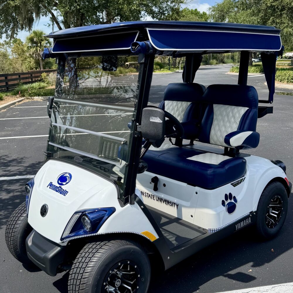 2025 Yamaha Drive2