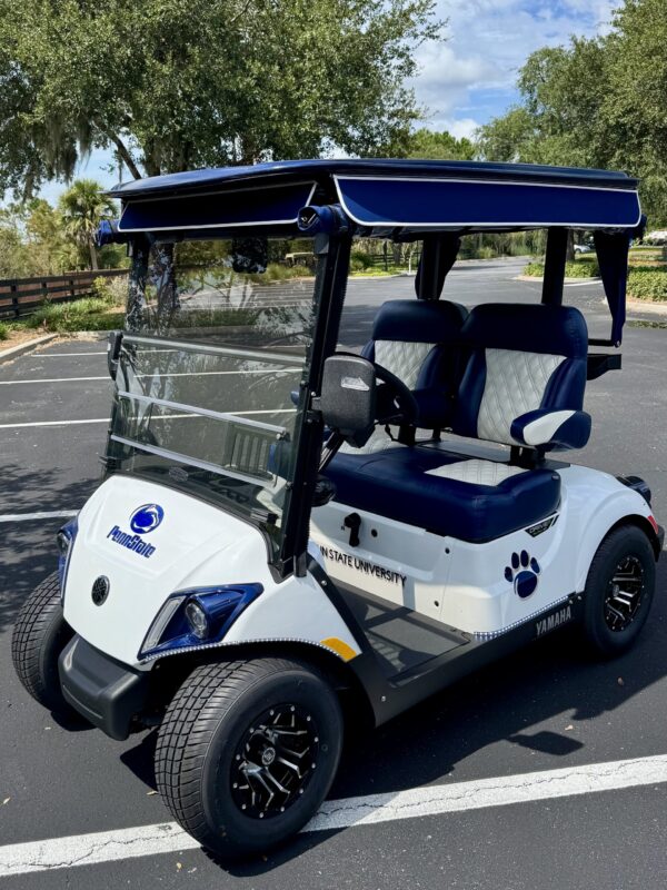 2025 Yamaha Drive2