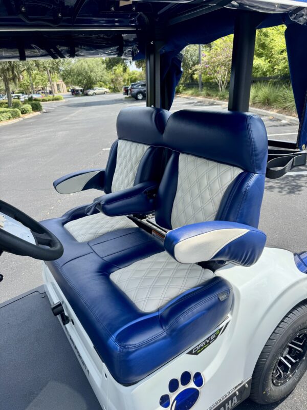 2025 Yamaha Drive2 - Image 4