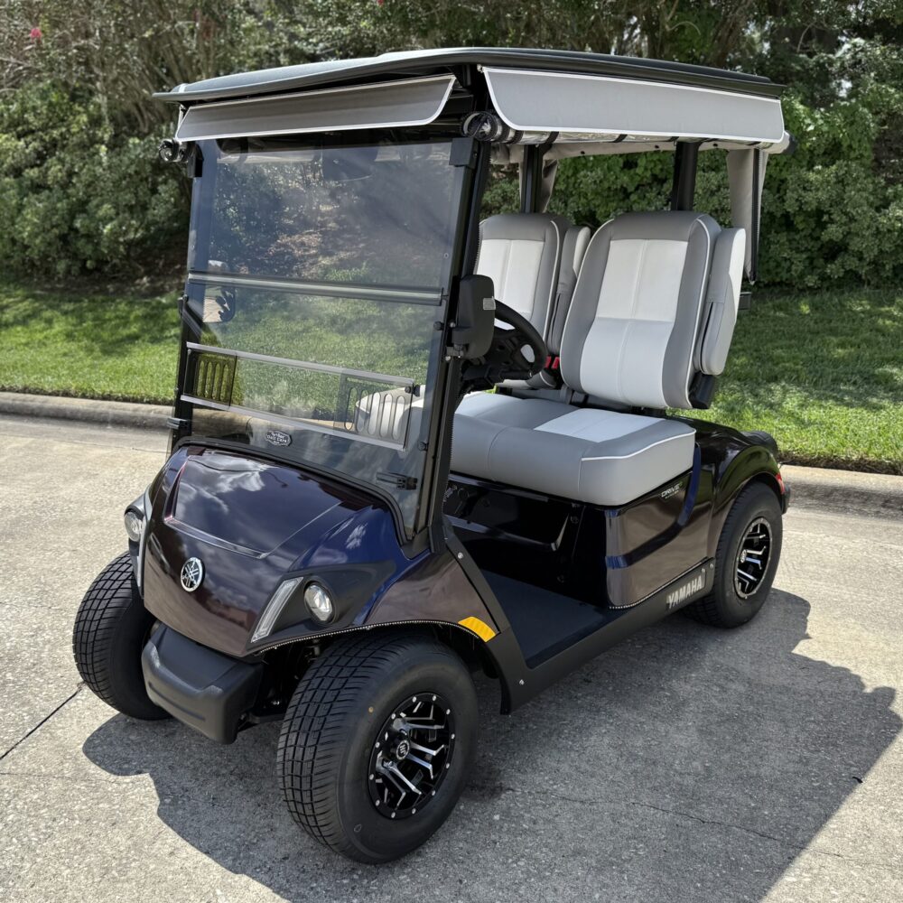 2025 Yamaha Drive2