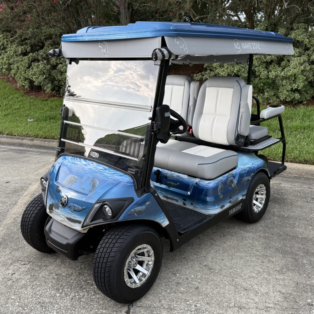 2025 Yamaha Drive2