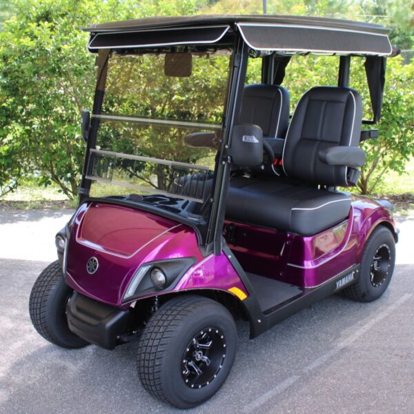 2025 Yamaha Drive2