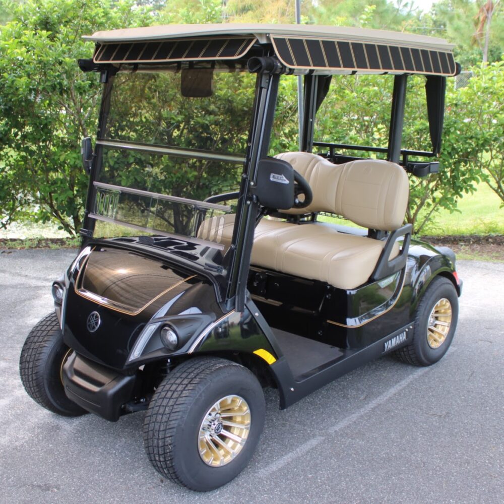 2025 Yamaha Drive2