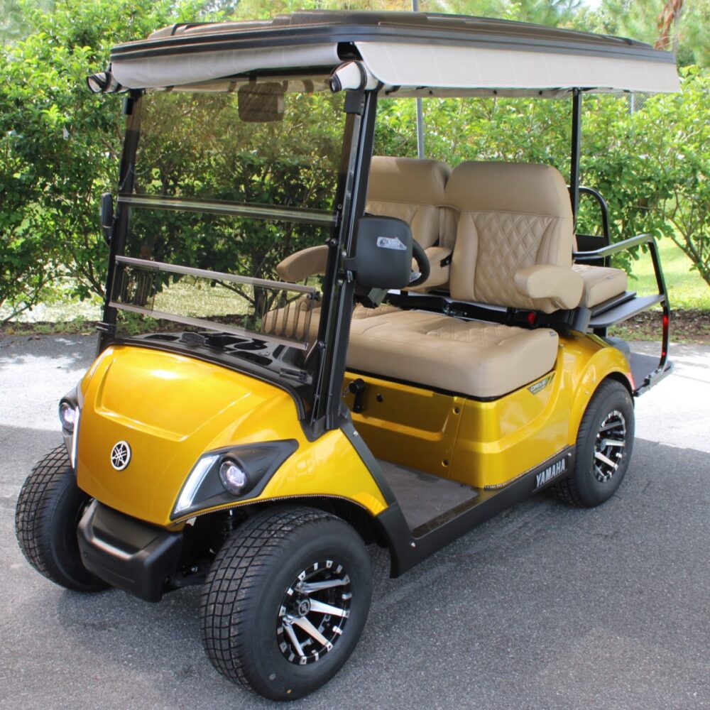 2025 Yamaha Drive2