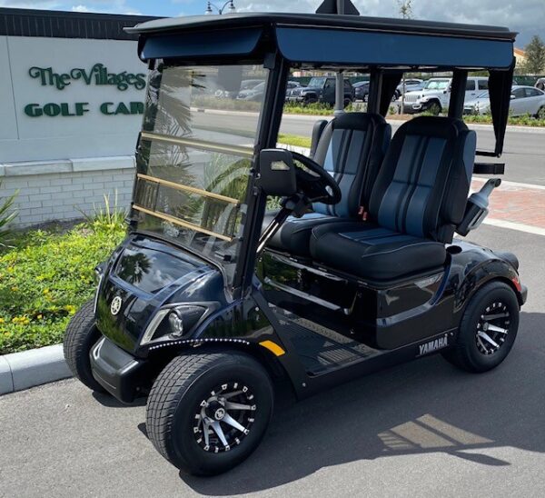 2020 Yamaha Drive2
