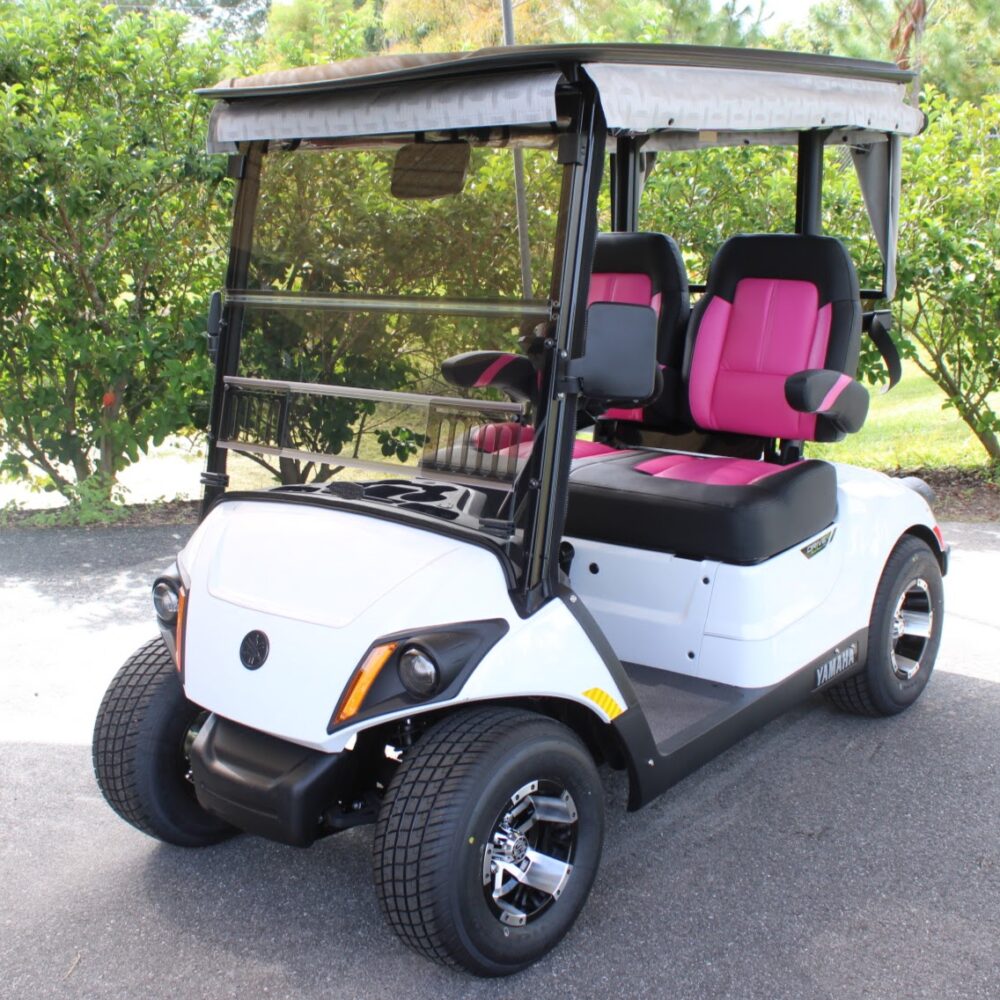 2025 Yamaha Drive2