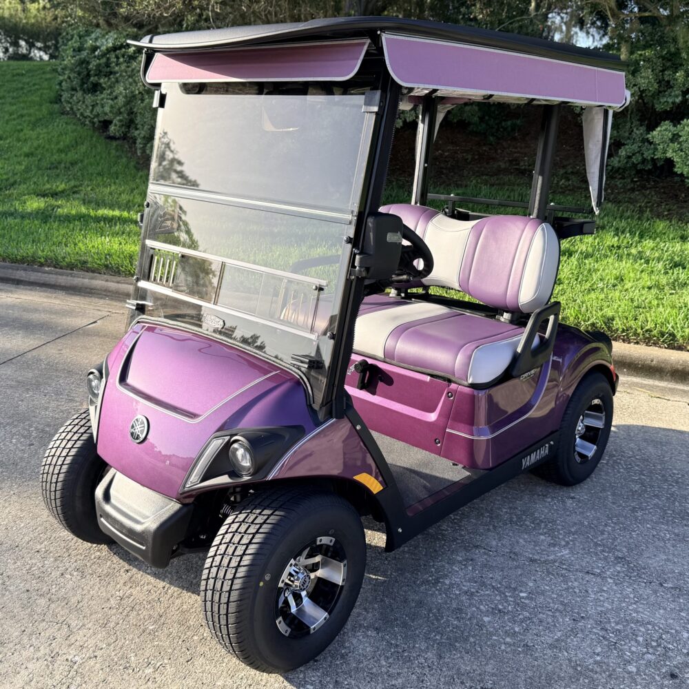 2025 Yamaha Drive2