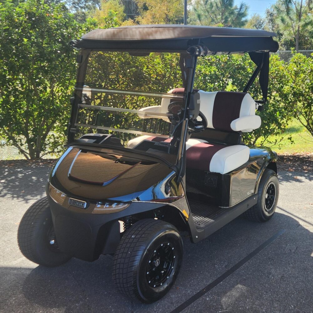 2025 E-Z-GO Freedom RXV ELiTE