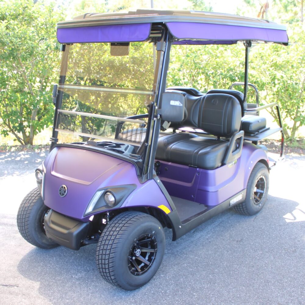 2025 Yamaha Drive2