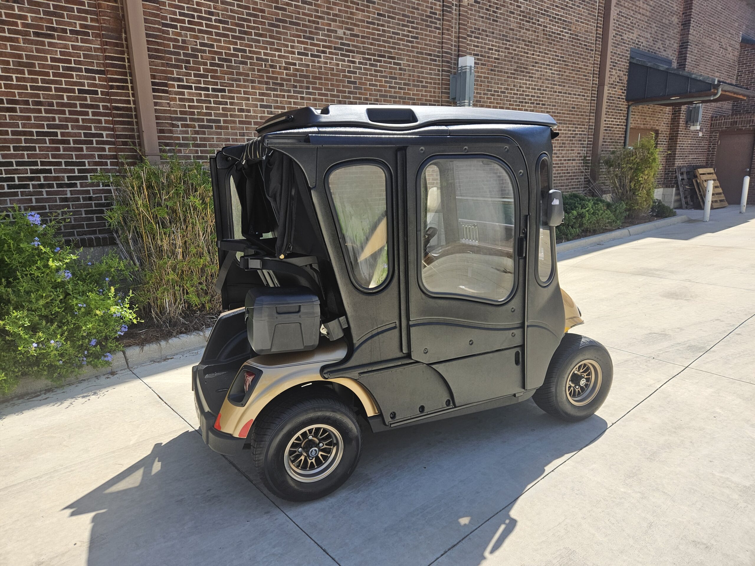 2019 E-Z-GO Freedom RXV Electric - Image 3