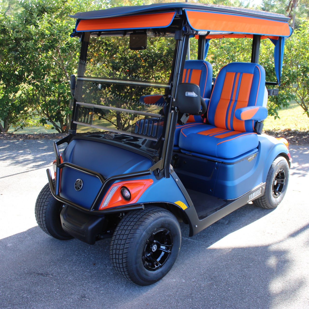 2025 Yamaha Drive2