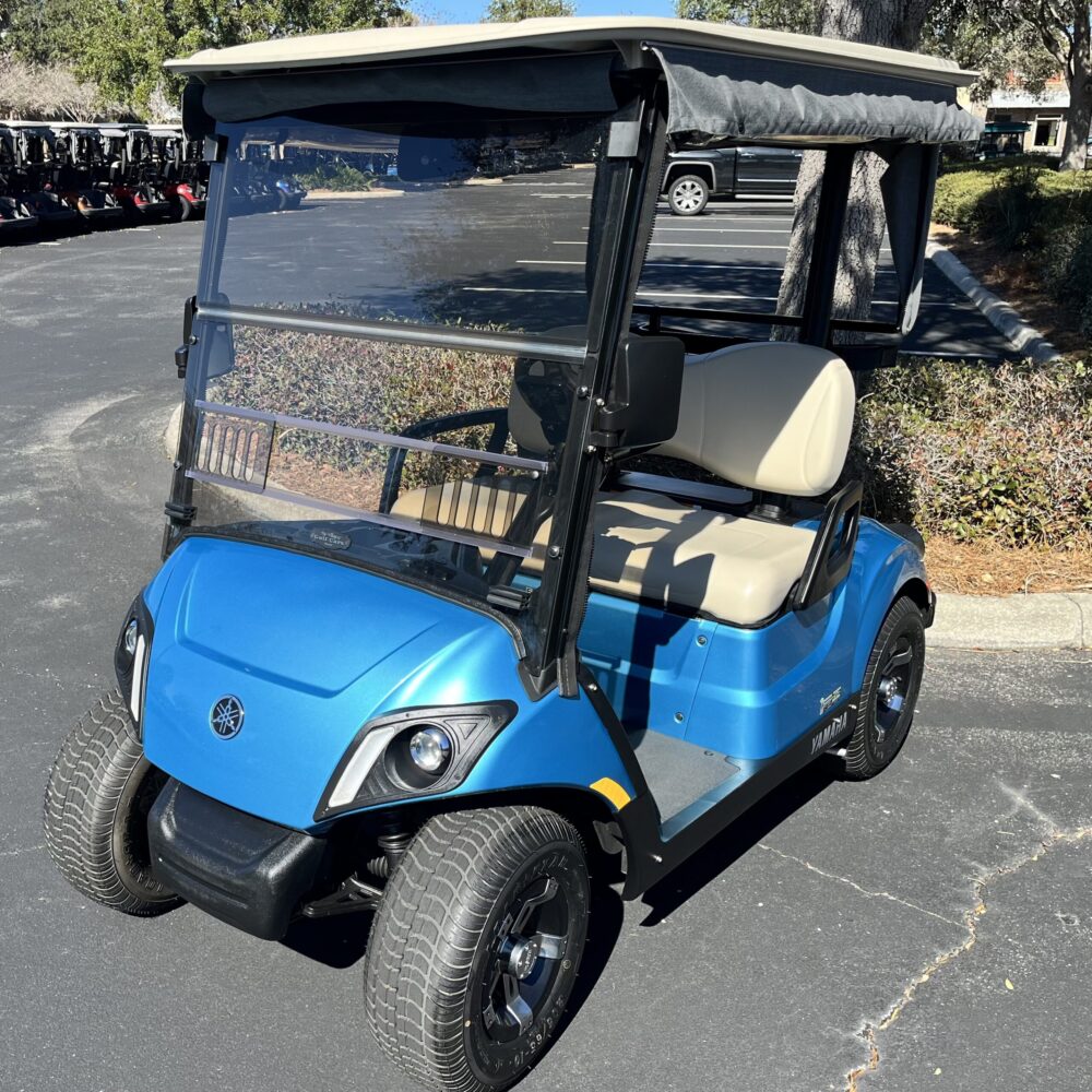 2019 Yamaha Drive2