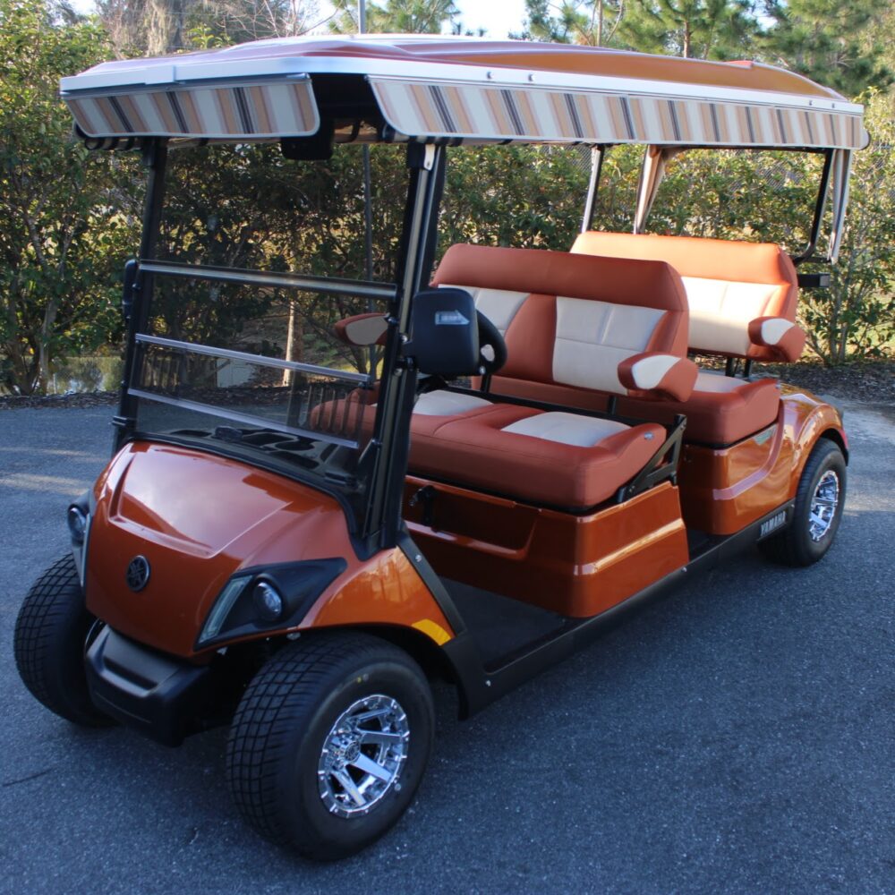 2023 Yamaha Concierge 4