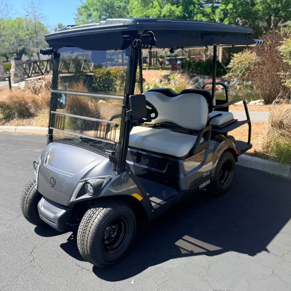 - None - - None - - None -