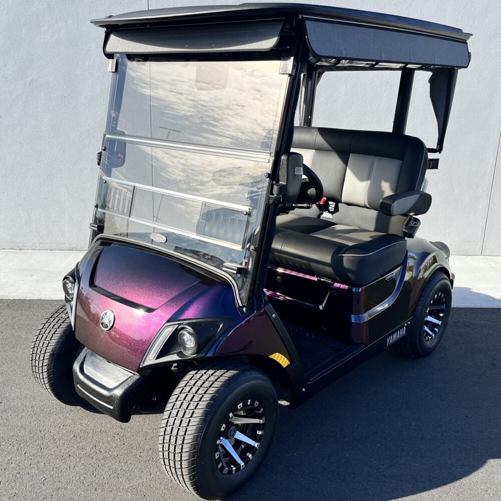 2024 Yamaha Drive2