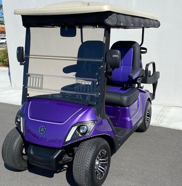 2021 Yamaha Drive2