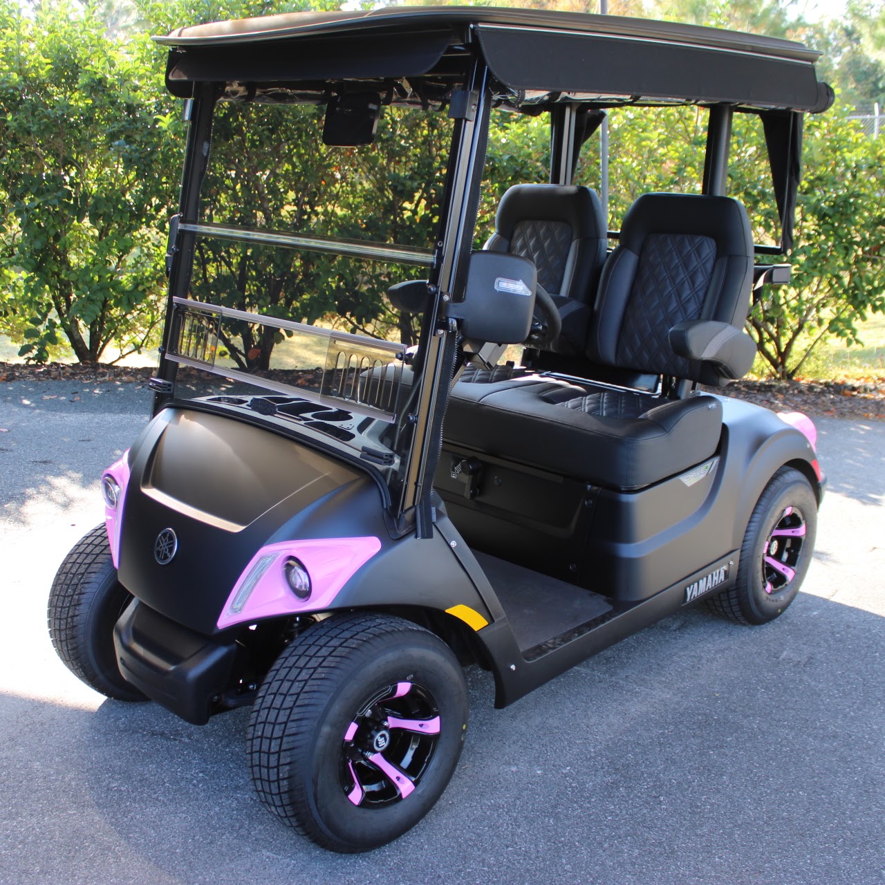 2025 Yamaha Drive2