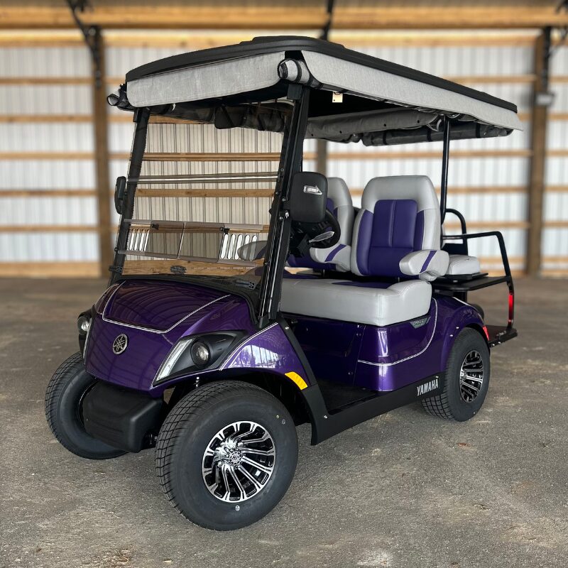2022 Yamaha Drive2