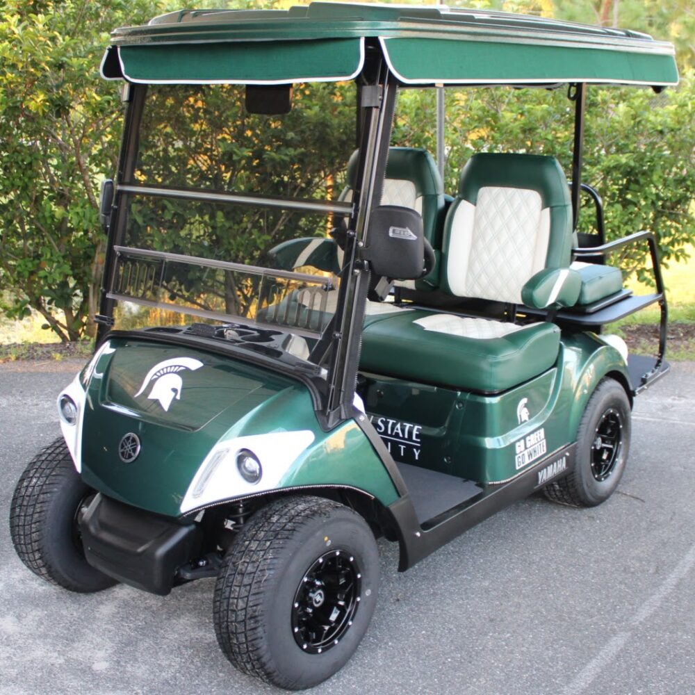 2025 Yamaha Drive2