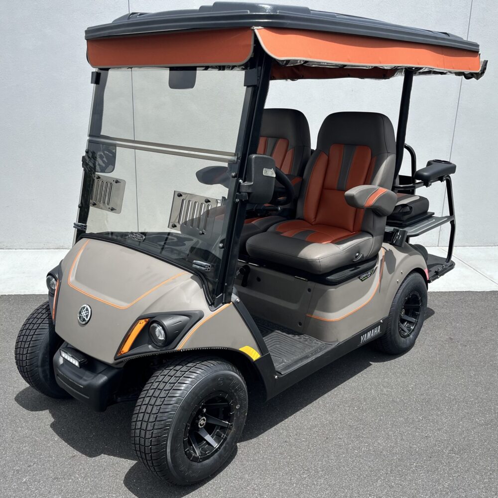 2019 Yamaha Drive2