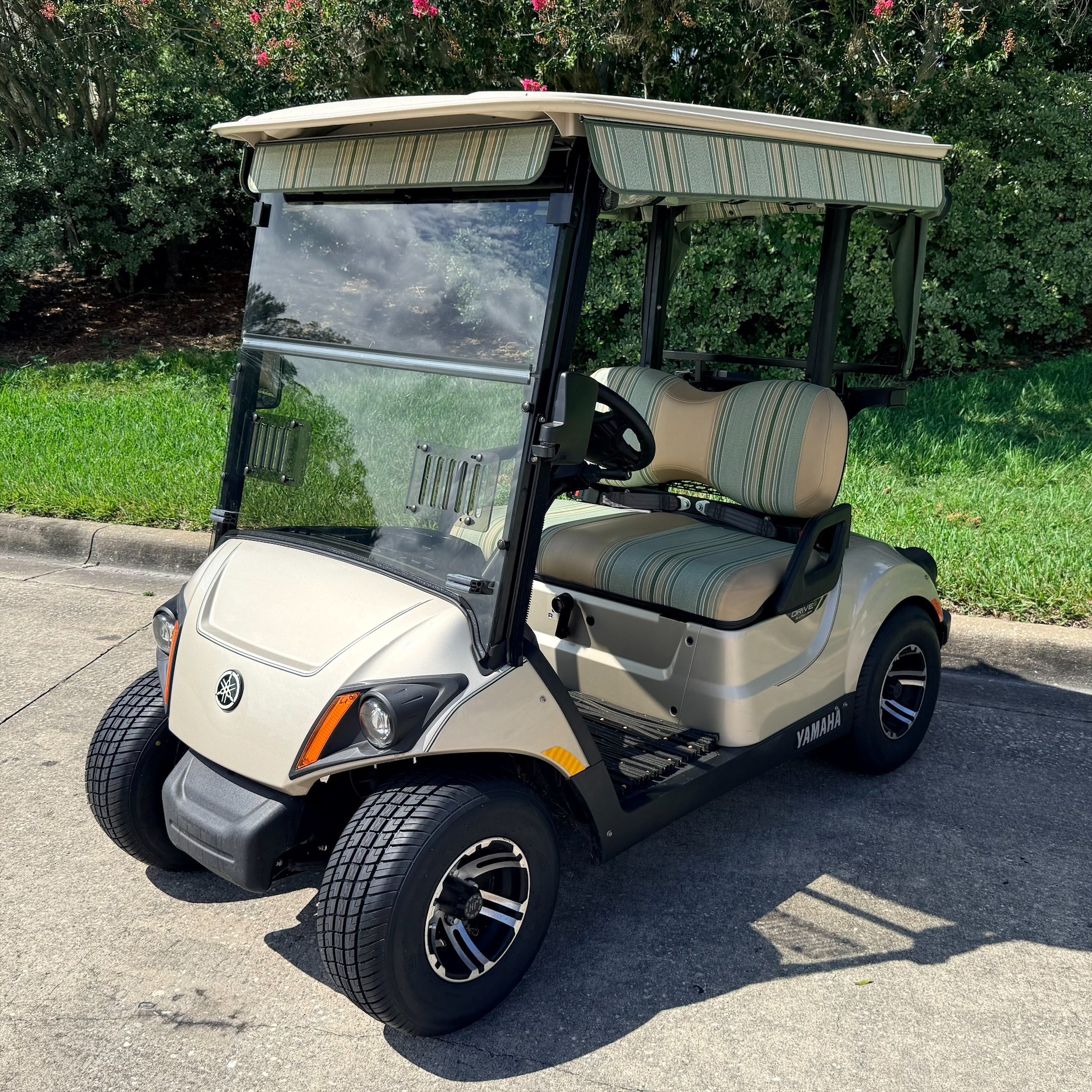 2018 Yamaha Drive2