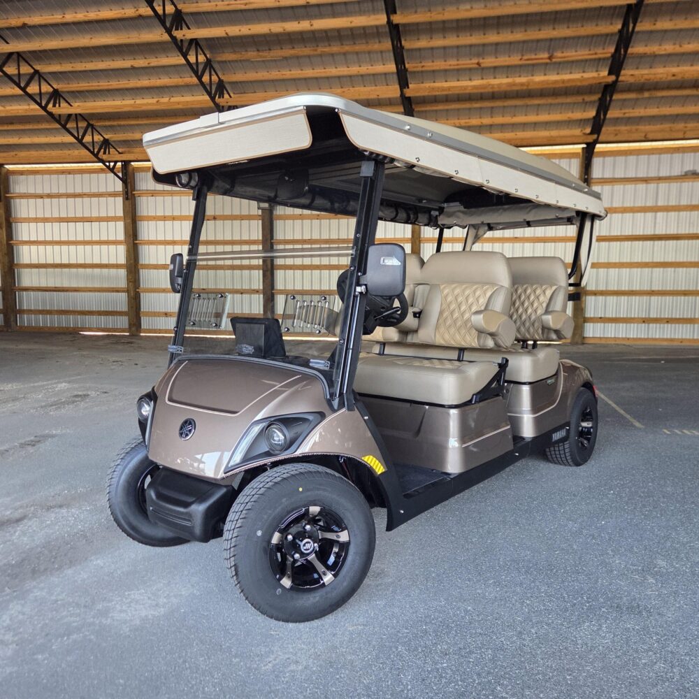 2023 Yamaha Concierge 4