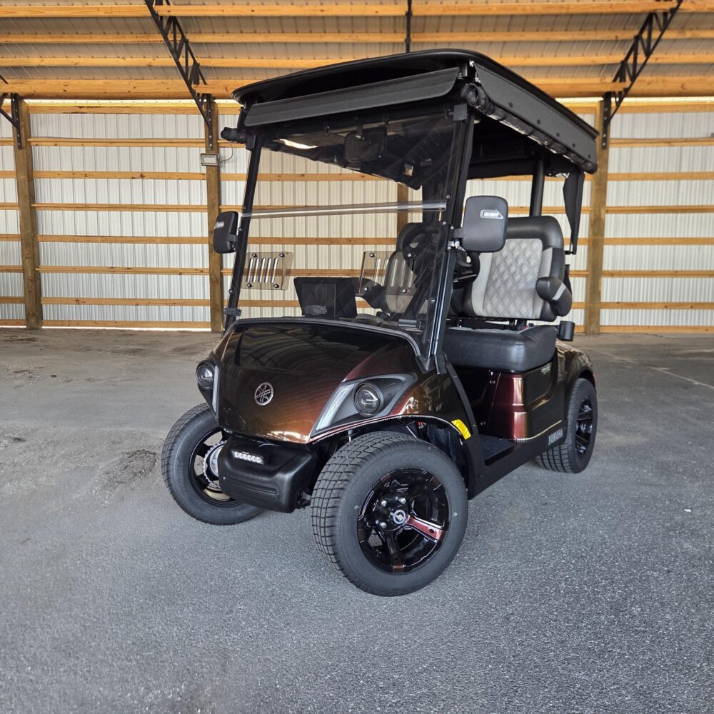 2026 Yamaha Drive2