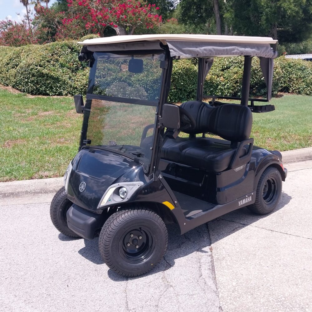 2019 Yamaha Drive2